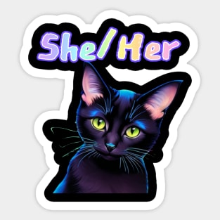 Batman - She/Her Rainbow Text Teal Sticker